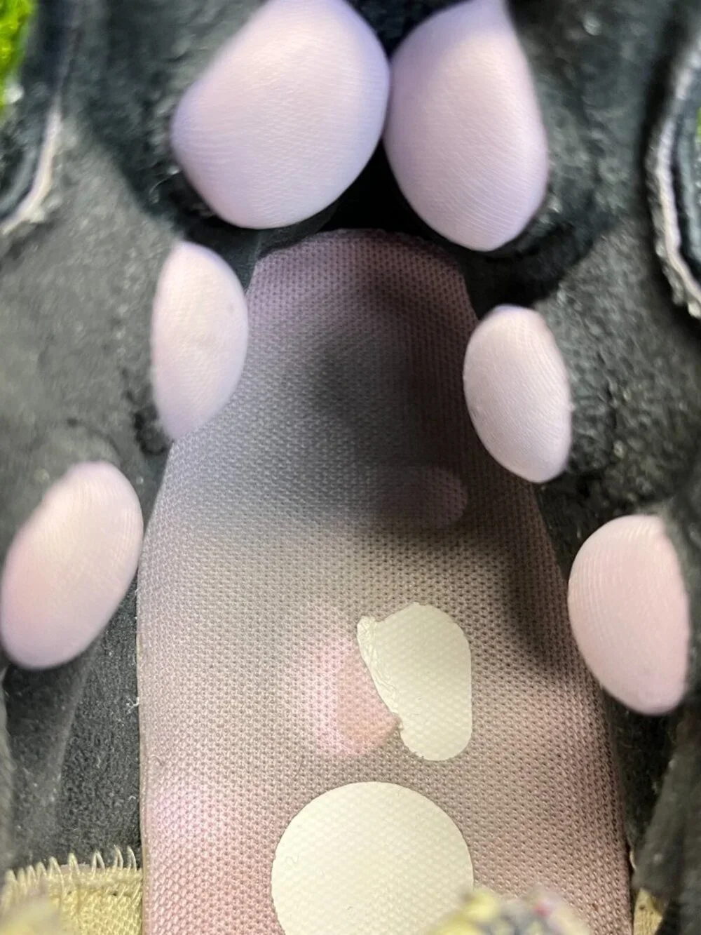 adidas please review